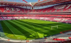 欧冠最新形势：本菲卡高居榜首，明尼苏达森林狼强势追赶，冠军归属成迷